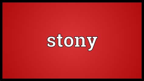 satony definition|what does stony mean.